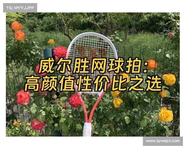网球比赛用具的选择与使用技巧分析及对比赛表现的影响 网球比赛用具的选择与使用技巧分析及对比赛表现的影响
