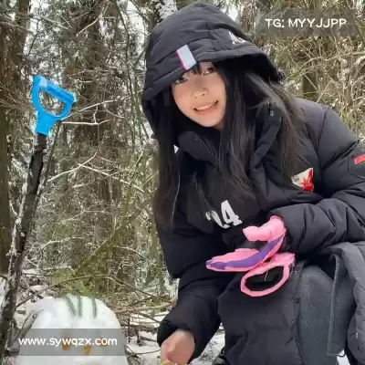甄辰玮